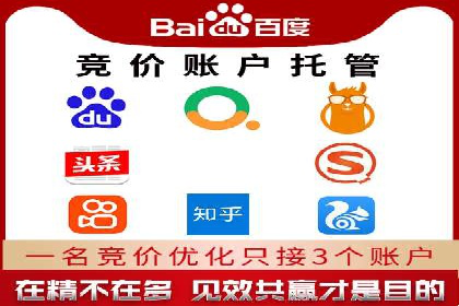 Sem优化公司案例：精准广告投放策略解析